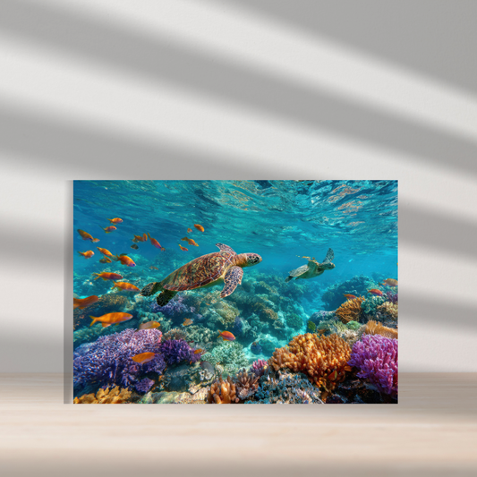 [Photo Printing Service] A3 Picture with 3mm Chipboard Backing